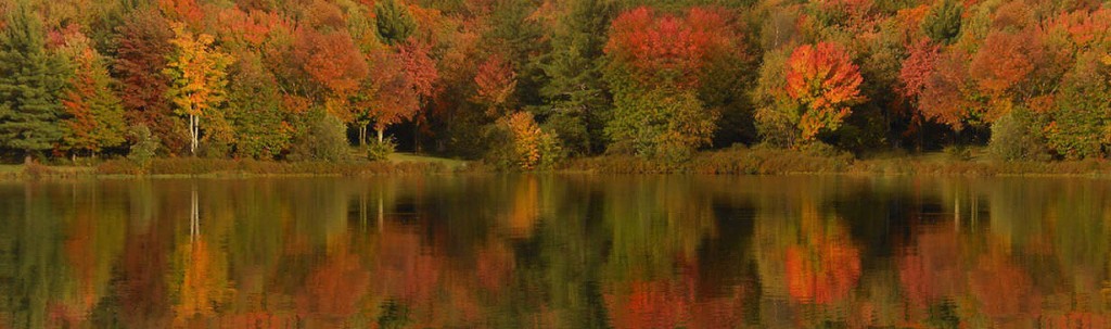 fall11