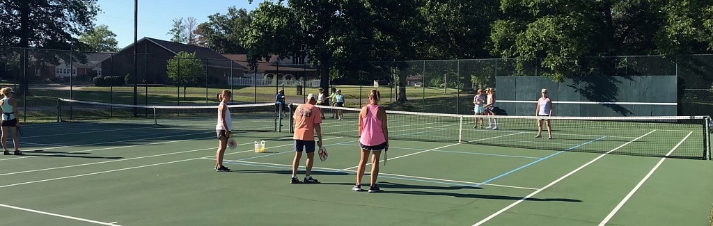 Pickleball Lesson